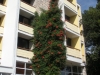 dscn0036