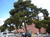 dscn0044