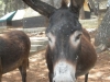 dscn0185