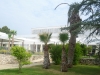 p1000641
