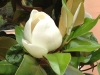 vrsar_2012_074