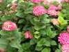 vrsar_2012_075