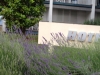 vrsar_2012_077