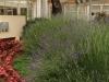 vrsar_2012_079